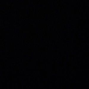 Meet your Posher, Iliana